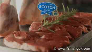 Scottish red meat sector launches health-inspired campaign