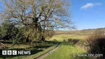 Volunteer centre planned for nature reserve