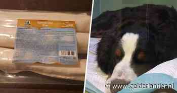 Al dertien honden dood door besmette kauwbotten; weerwolfsyndroom zorgt voor hysterisch gejank en epilepsie