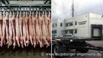„Leiden und Schmerzen“: Veterinäramt stoppte Schweine-Schlachtungen auf Schlachthof