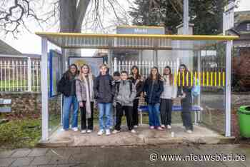 Ze geraken op school, maar niet meer thuis: De Lijn laat nu ook leerlingen in Gingelom in de kou staan