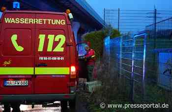 FW Hagen: Wasserrettung, Person in Lenne