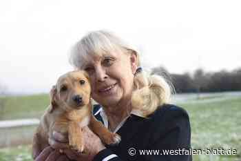 Hilfe rührt Paderborner Tierschützerin