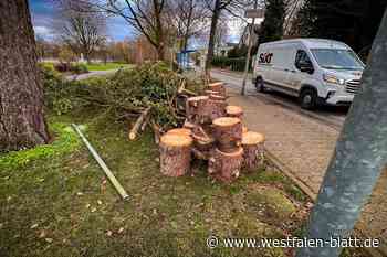 Wegen Sturmböen: Baum droht auf A30 zu stürzen