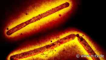 Erster Vogelgrippe-Toter in USA: "Die schlimmste Form des Virus, die wir je gesehen haben"