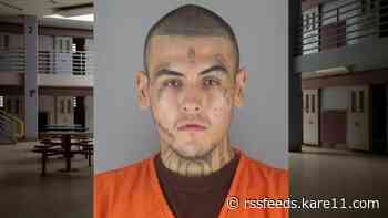 Hit-and-run driver sentenced in death of classic car aficionado