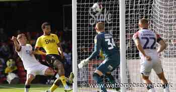 Put questions directly to Herts Police on how they manage Watford v Luton