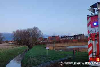 Mazoutspoor op zijtak van De Mandel