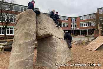 13.000 Likes für Video der Gesamtschule Halle