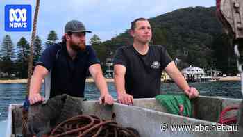 Jellyfish 'boom' swamping river forces fishermen to get second jobs