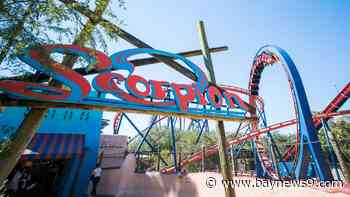 Busch Gardens Tampa Bay roller coaster 'Scorpion' to close after 44 years