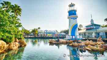 SeaWorld Orlando launches Fun Cards, reveals event lineup for 2025