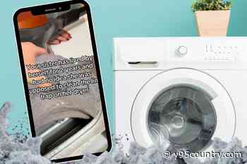 Her Clothes Dryer Wasn't Working, Then She Saw THIS in Lint Trap