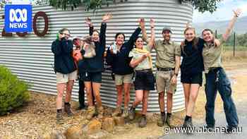 Businesses plea for visitors as Halls Gap reopens after Grampians fire