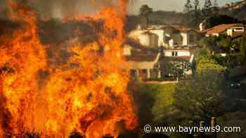 Many structures already destroyed in Pacific Palisades wildfire, California governor says
