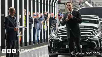 Europe leaders criticise Musk attacks