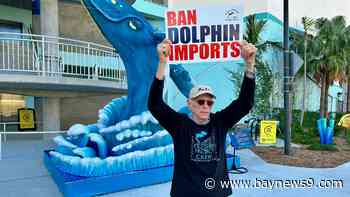 Activist seeks to halt dolphin importation from Greece to Clearwater Marine Aquarium
