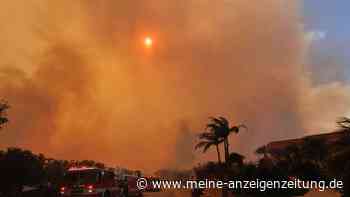 Feuerinferno bei Los Angeles schlägt Tausende in die Flucht