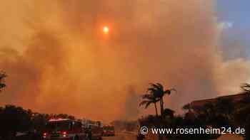 Feuerinferno bei Los Angeles schlägt Tausende in die Flucht