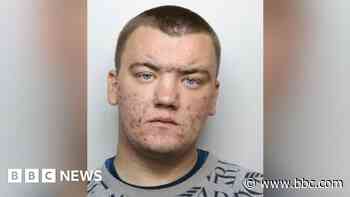 'Easily led' rioter detained over hotel disorder