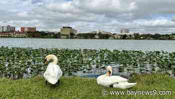 Rain will pass this weekend with a cold front