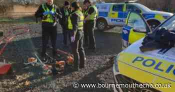 Man arrested after frozen turkeys seized in raid