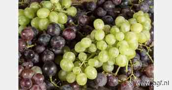 Wat is gezonder: witte of blauwe druiven?