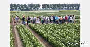 Nicole van Doorn wordt nieuwe algemeen directeur van Nedato