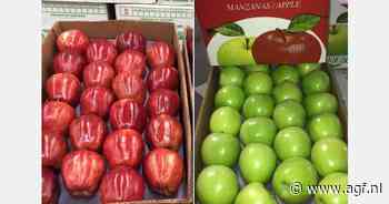 "Europa is een markt met veel potentie voor de Chileense Royal Gala-appelen"