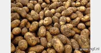 "Sterk groeiend aardappelareaal biedt kansen, maar telers blijven zorgen houden"