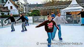 Erstes Fazit: So war  die  Eisbahn-Saison  in Nagold