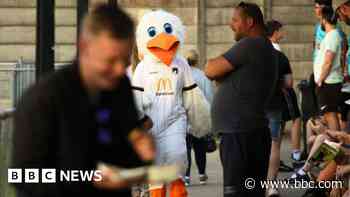 Car-choked cities and the hunt for a seagull mascot