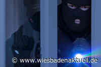 Einbrecher-Duo überrascht und in die Flucht geschlagen