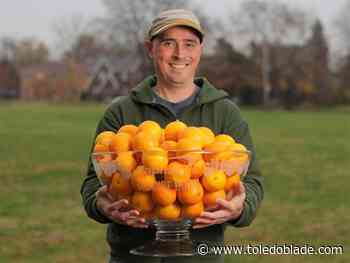 This year's Orange Bowl trophies have UT connection