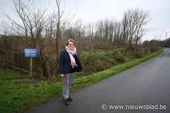 Geliefd bos vorig jaar tot ieders verbazing gekapt, nu wordt het heraangeplant: “Dit is meer dan een bos, het is een stukje cultuur”