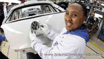 Der letzte echte VW - ein kleiner Multimillionär wir 50