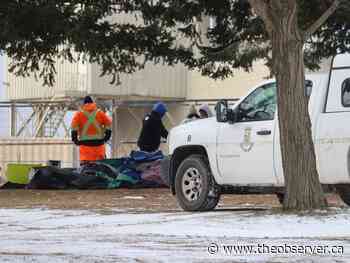 Sarnia trims security, sanitation as Rainbow Park camp shrinks