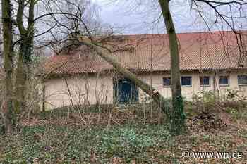 Kinderhaus: Baum stürzt auf Schul-Turnhalle