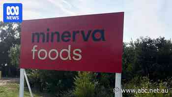 Wheatbelt abattoir closes pending business review