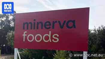 Key WA abattoir closes as end of live sheep trade looms