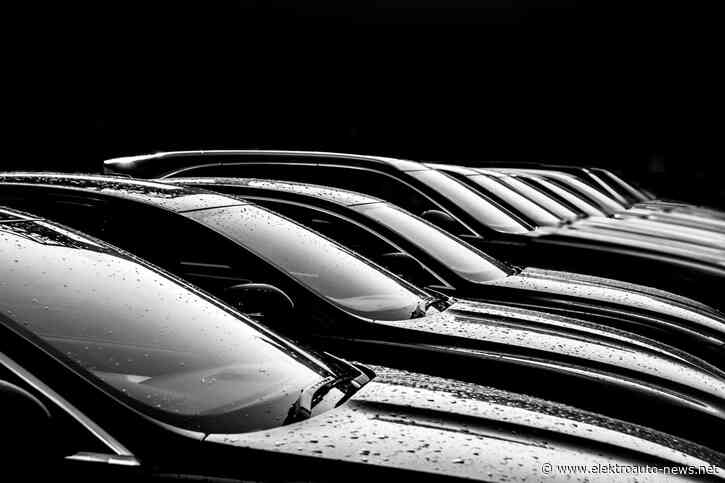 Greenpeace fordert Zulassungssteuer als Verbrenner-Malus