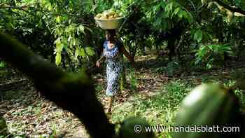 Rohstoffe: Was 2024 noch besser als Krypto performt hat