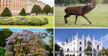 Richmond named one of the best places to retire with its 'sense of belonging'