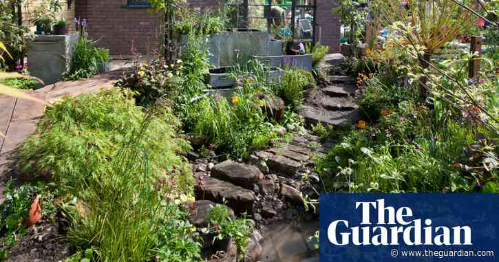 Weatherwatch: how planting rain gardens can reduce flooding