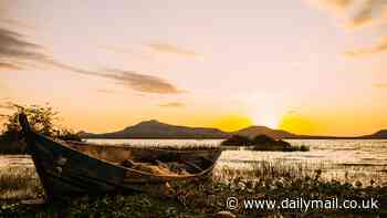Nearly one in four freshwater fish species, crustaceans and dragonflies are at 'high risk of' extinction, scientists warn