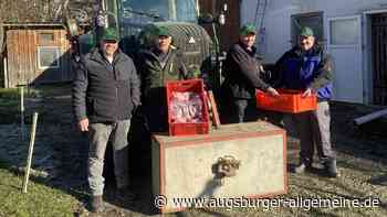Schwein gehabt bei der Betriebshilfe: Landwirt dankt Helfern mit Fleischgeschenken