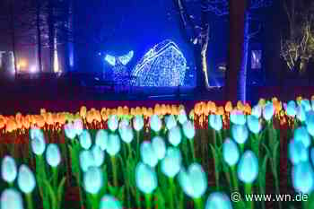 Über 50.000 Besucher bei Xmas-Lights: Veranstalter plant Veränderungen