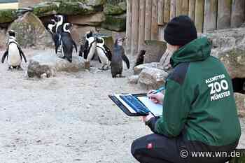 Allwetterzoo Münster zählt 2700 Tiere und einen Besucher-Bestwert