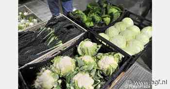 Optimisme onder Italiaanse groentehandelaren bij terugkeer van vakantie
