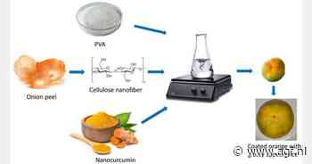 Eetbare coating van uienschillen verhoogt versheid en vermindert plasticgebruik